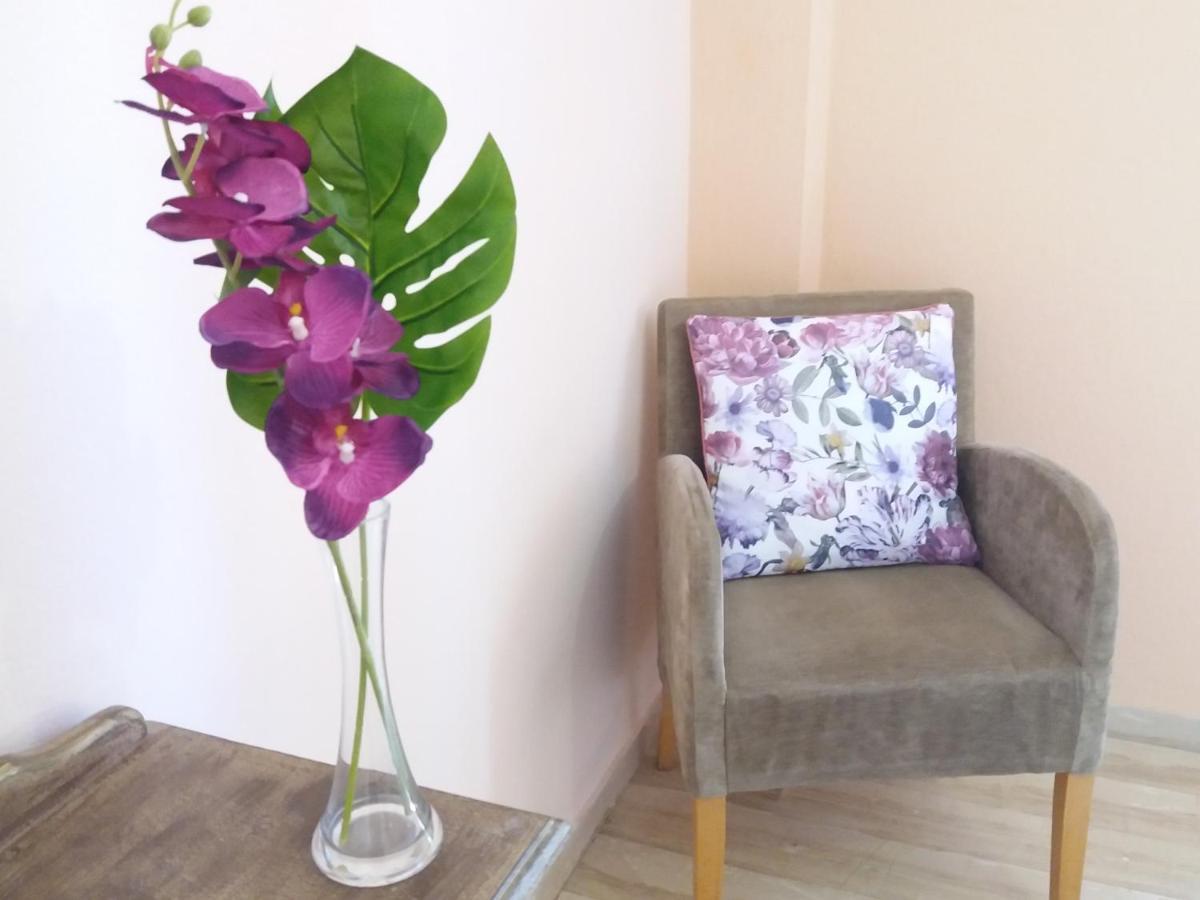 דאסיה Alexandra Spingou Apartments מראה חיצוני תמונה