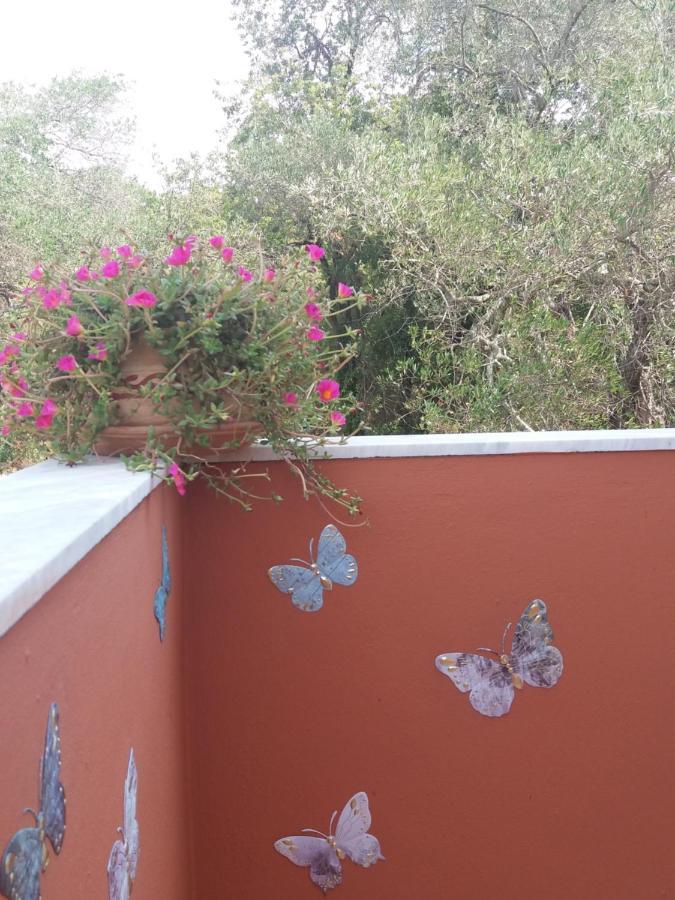 דאסיה Alexandra Spingou Apartments מראה חיצוני תמונה