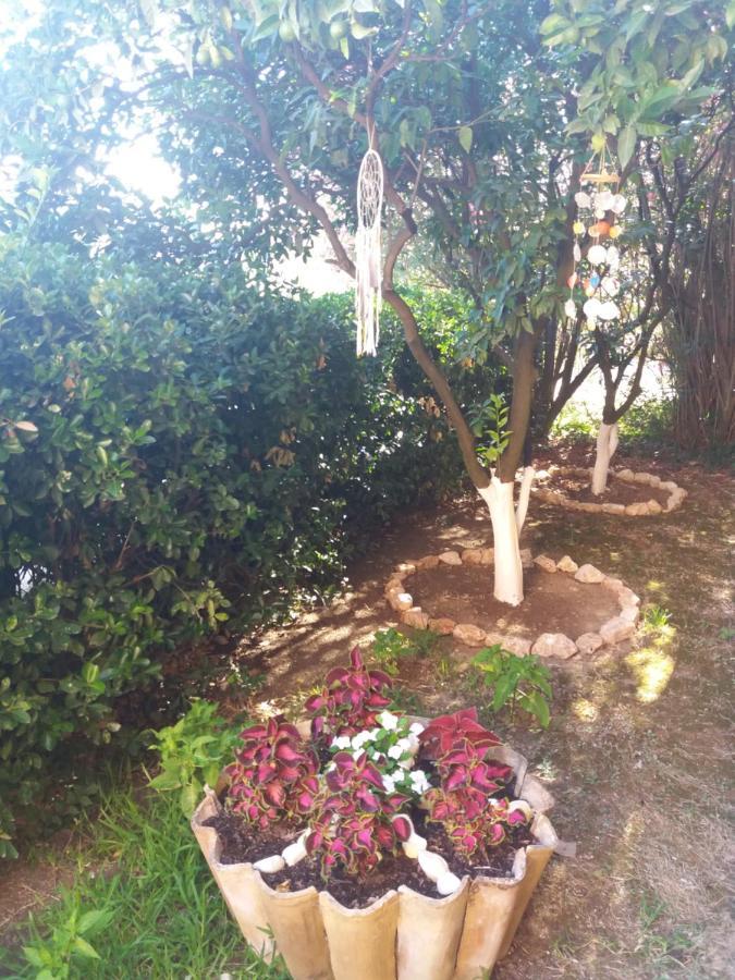 דאסיה Alexandra Spingou Apartments מראה חיצוני תמונה