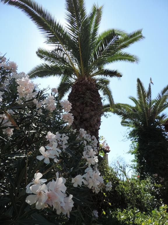 דאסיה Alexandra Spingou Apartments מראה חיצוני תמונה