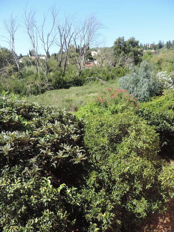דאסיה Alexandra Spingou Apartments מראה חיצוני תמונה